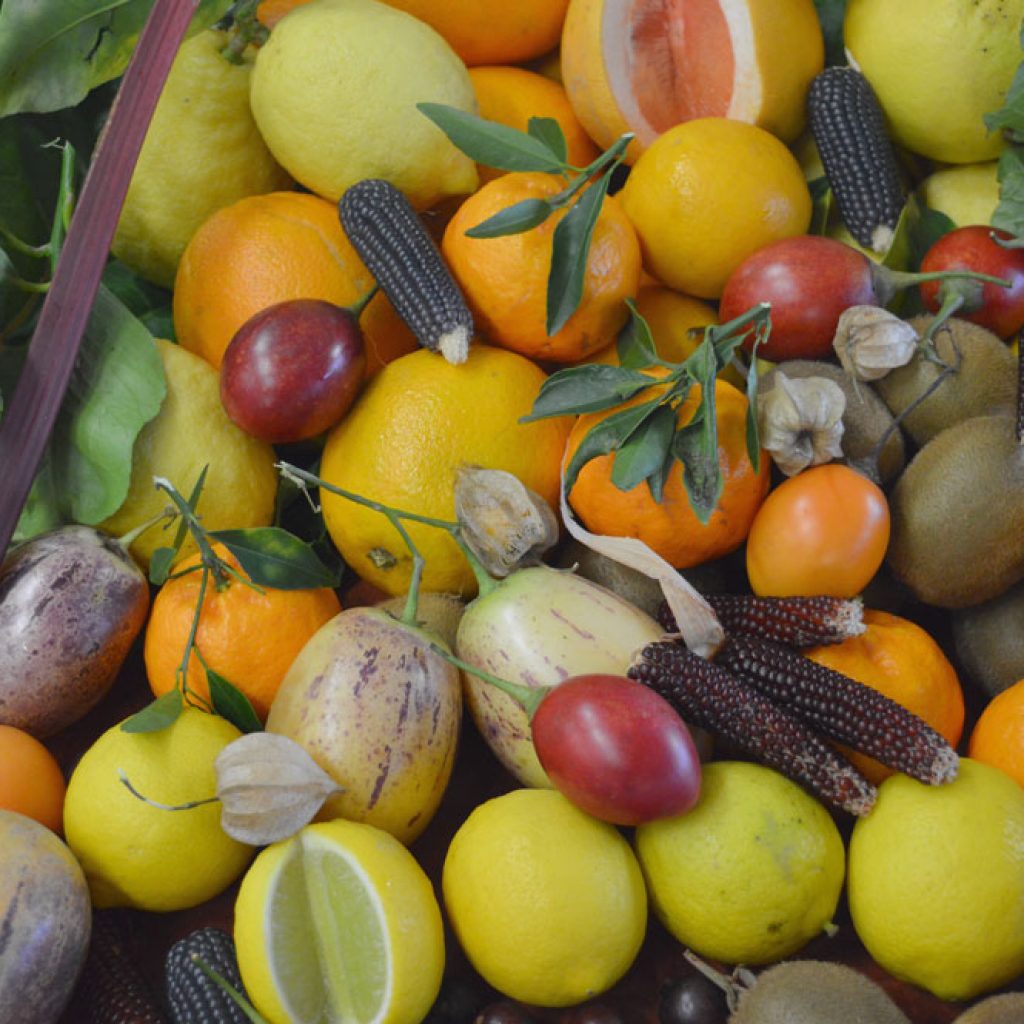 Fruit In Season Spring