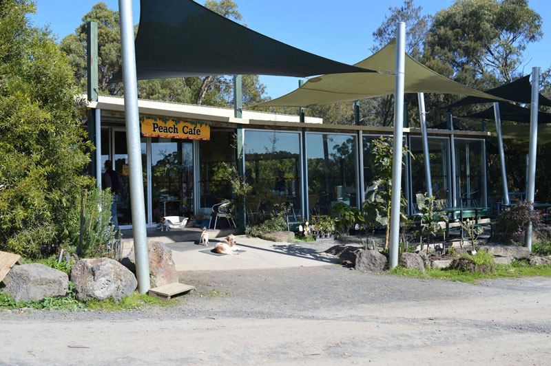 peachcaferayners800 Rayners