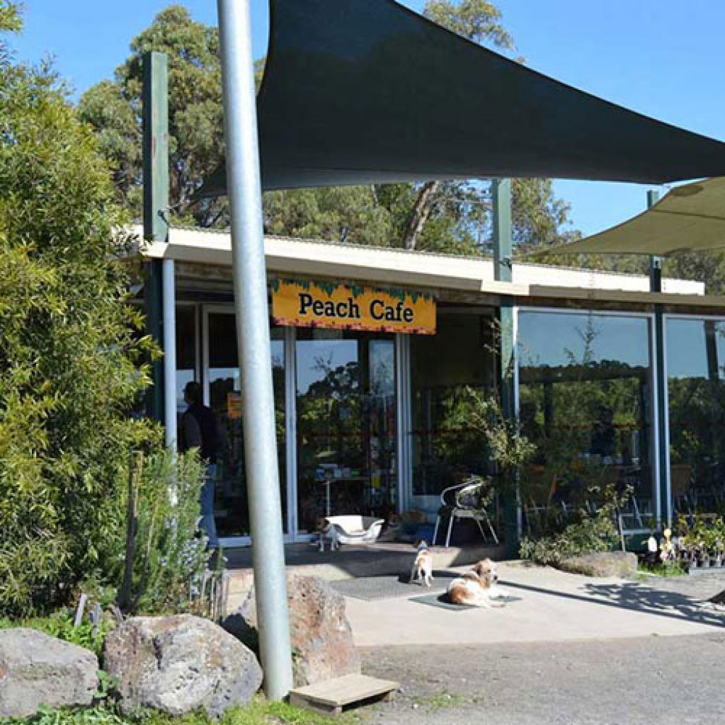 Rayners Orchard U Pick Fruit Orchard Tours Fruit Picking