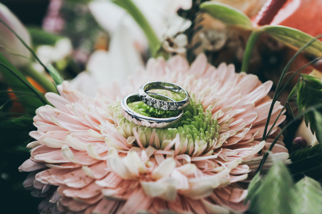Celebrate Weddings at Rayner's Orchard!