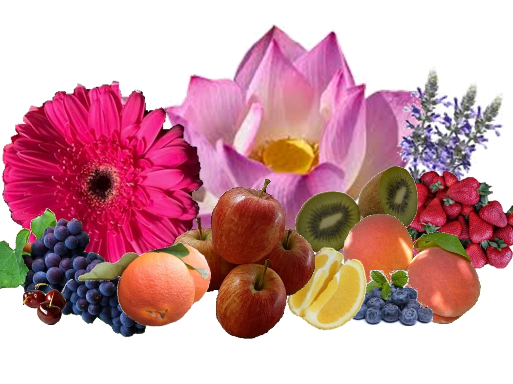 fruitsoftheyarravalleycopy Rayners